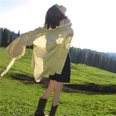 高速公路家族 海报
